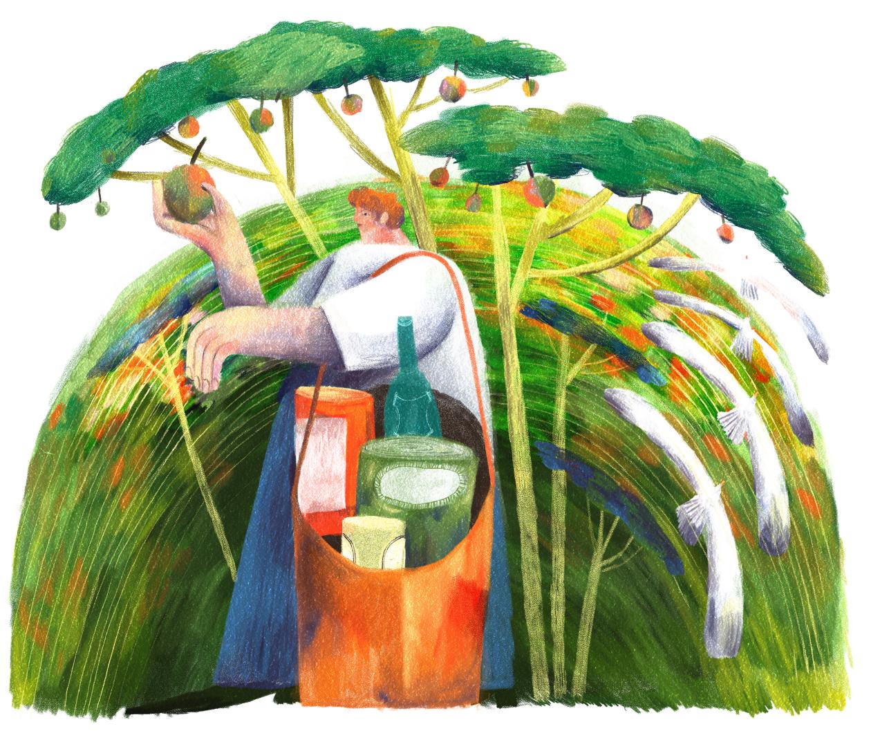 Sustainable Nutrition